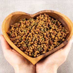 nutrición_veterinaria_torrelodones